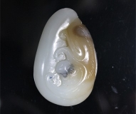一夜封猴FSZ2002314060A