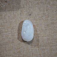 马上封侯FSZ260208006A