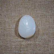 鹭鹭莲升FSZ260209005A