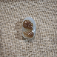 双牛送福FSZ260209017A