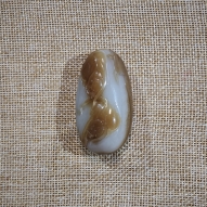 代代封侯FSZ260209023A